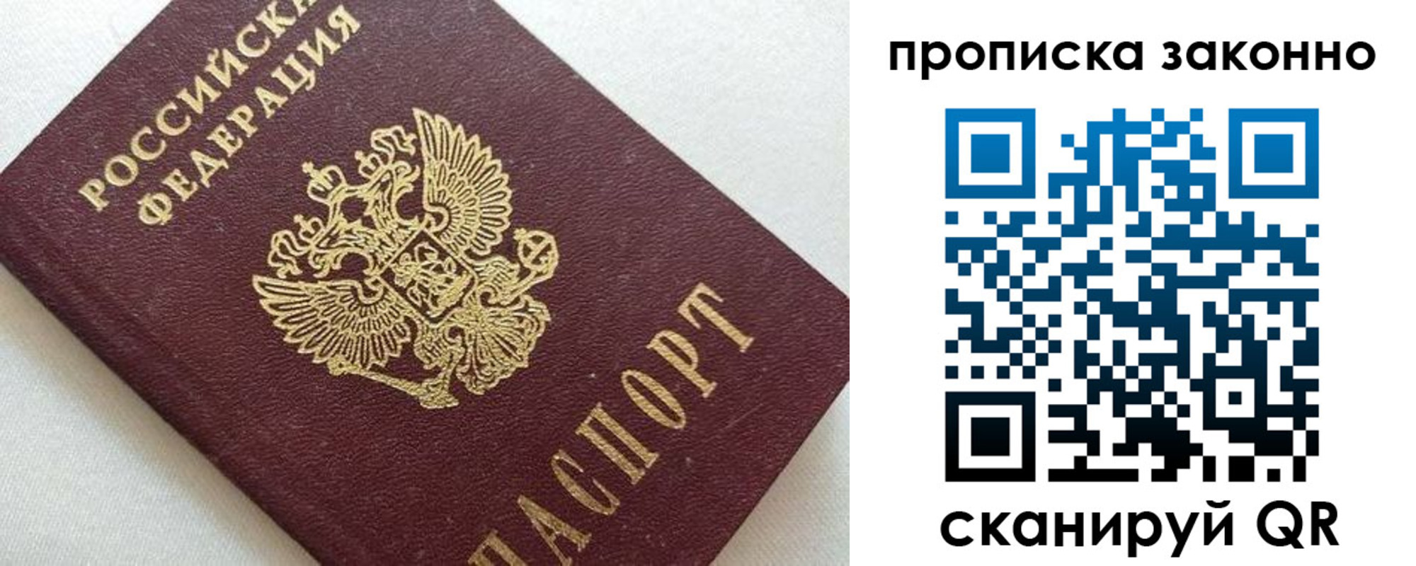 прописка поиск в Тольятти